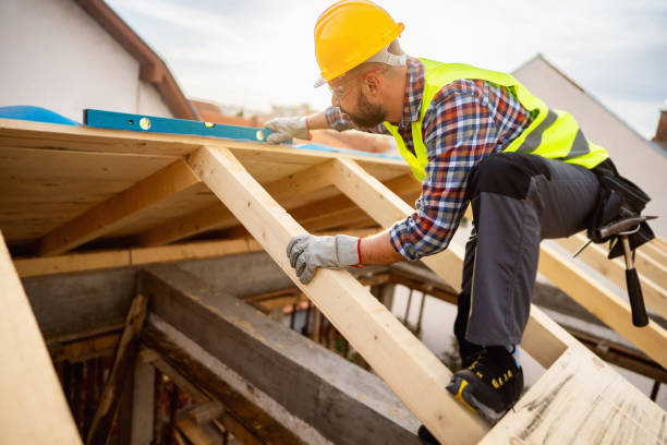 Best Roof Gutter Cleaning  in Marceline, MO